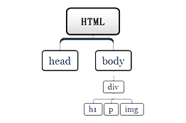 html文档结构树杈图